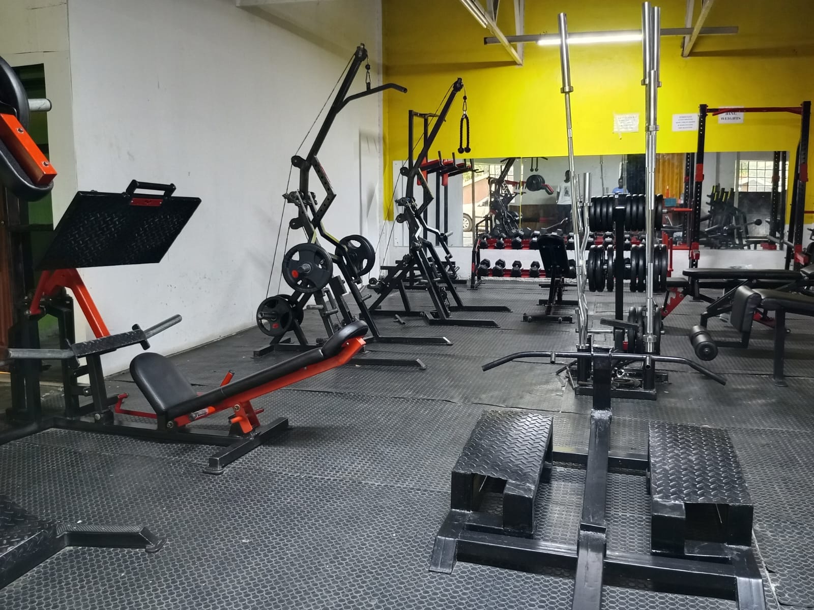 Fitness Gym Workout